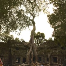 Angkor Tom, Cambodia